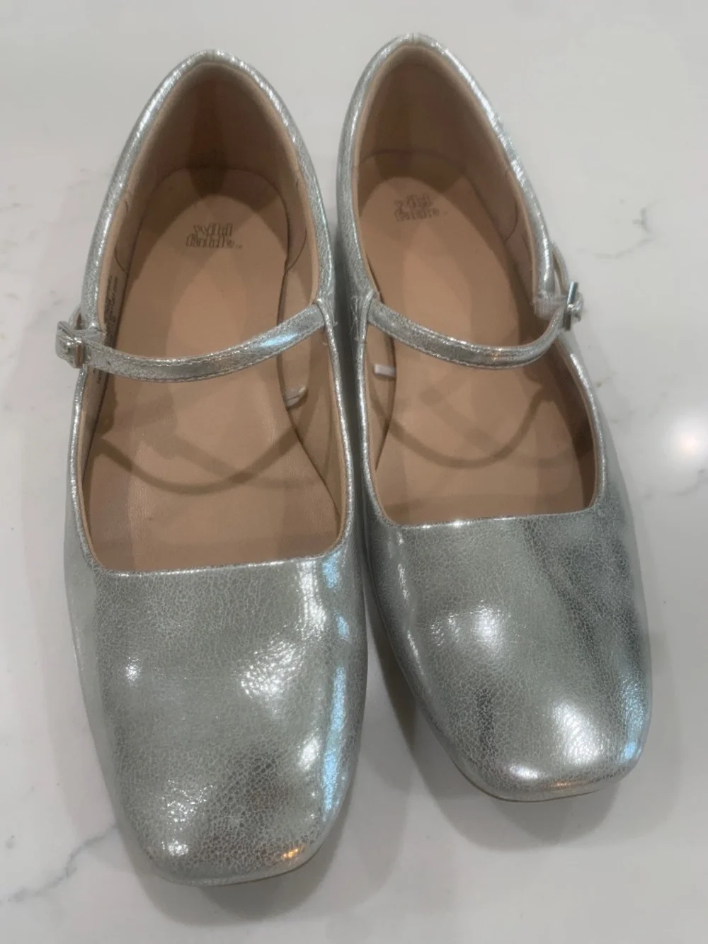 Wild Fable flats